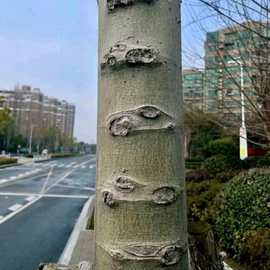 幸福