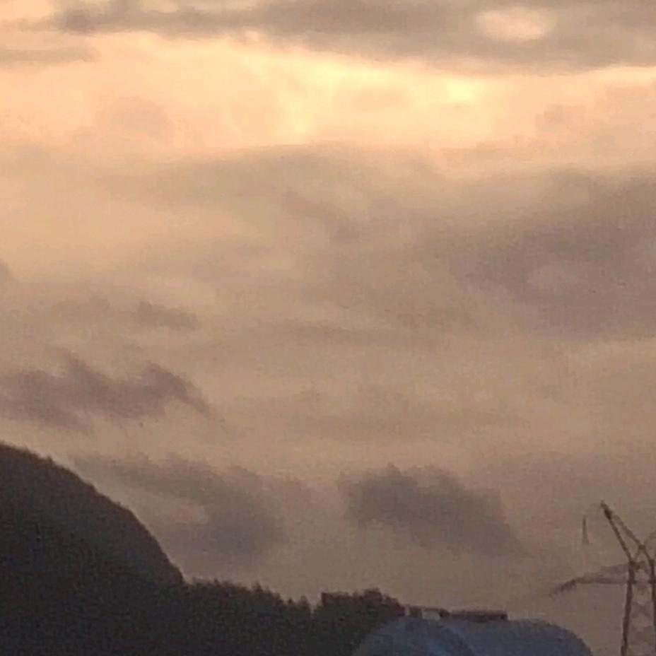 山月🌸