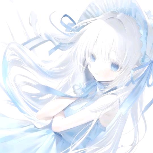 迟述的猫丨周互补