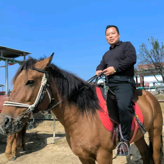 鹤壁淇县东盛装饰（王燕华）