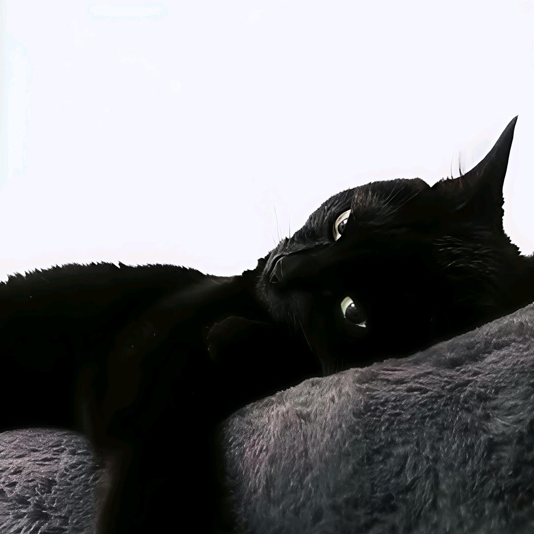 想要南瓜肩💪🏼