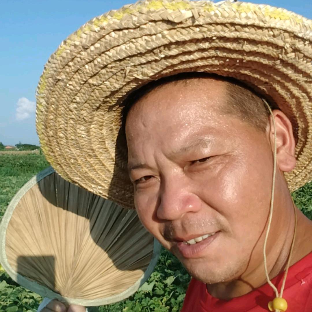 菜地里的小张