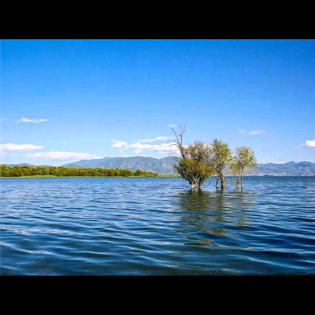 远方的晨光！1909木