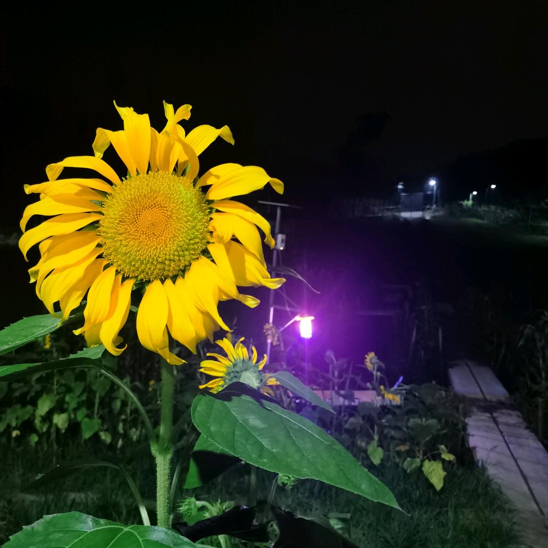 长寿区河塘家庭农场