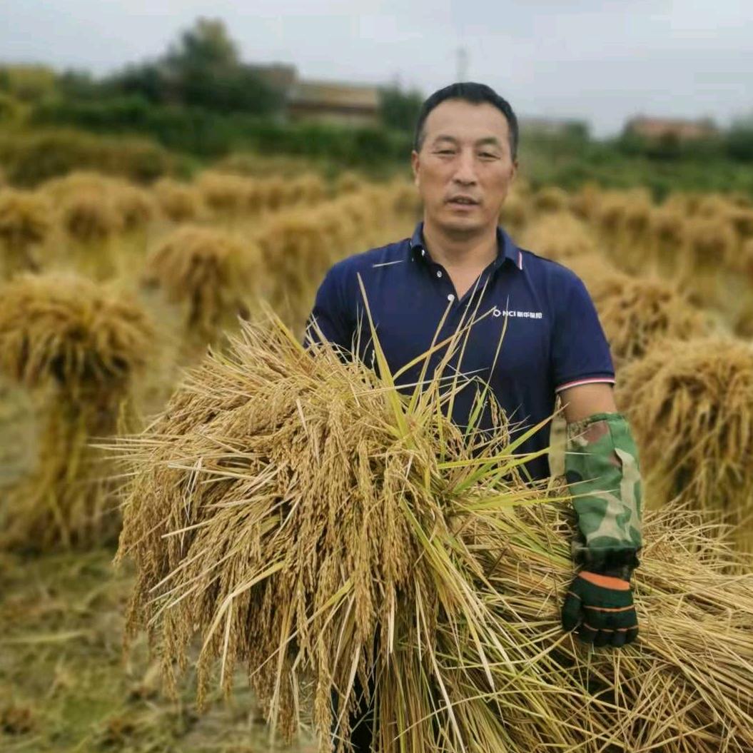 五常余哥山特产企业店