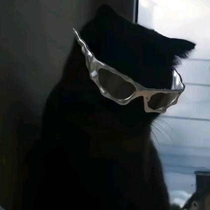 斑馬還沒有睡🦓