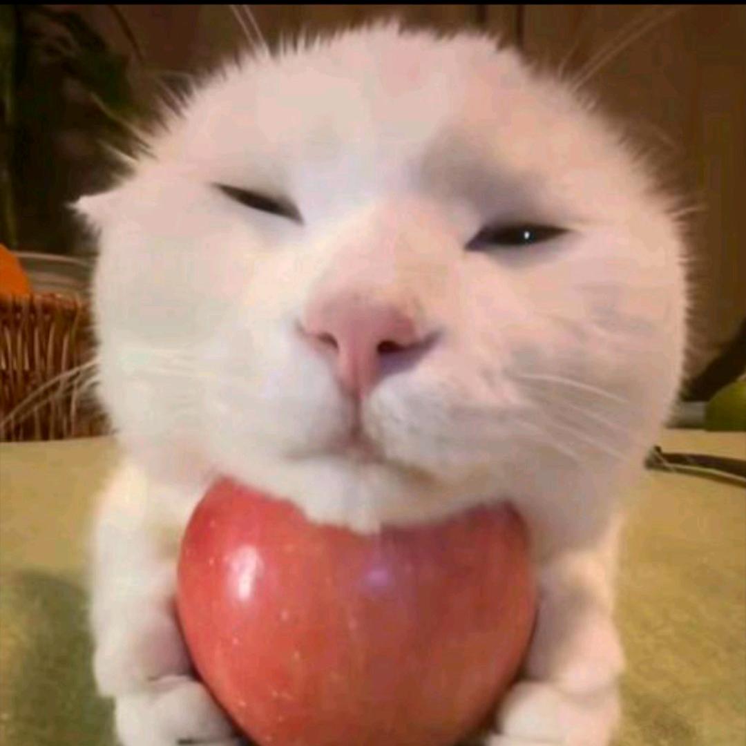 十二烷基苯磺酸