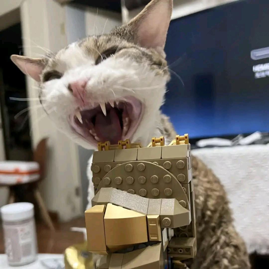 苏格拉底的麦子