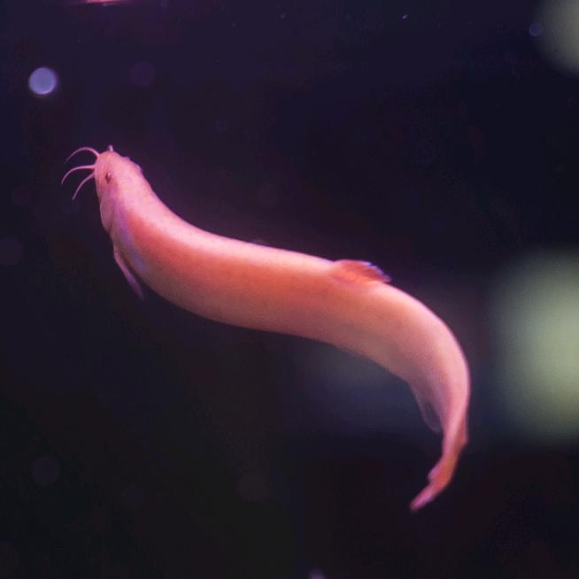 缩在嘉兴南湖区卖眼镜