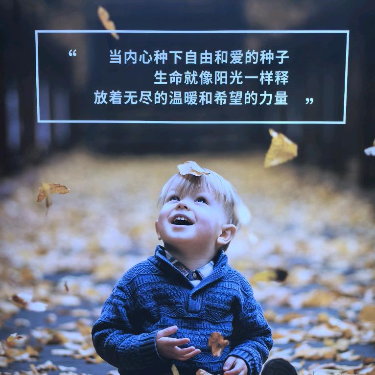 @是海涛呀
