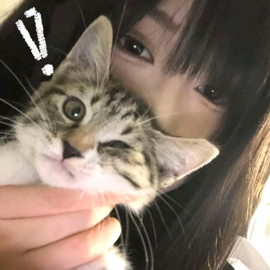 有什么区别