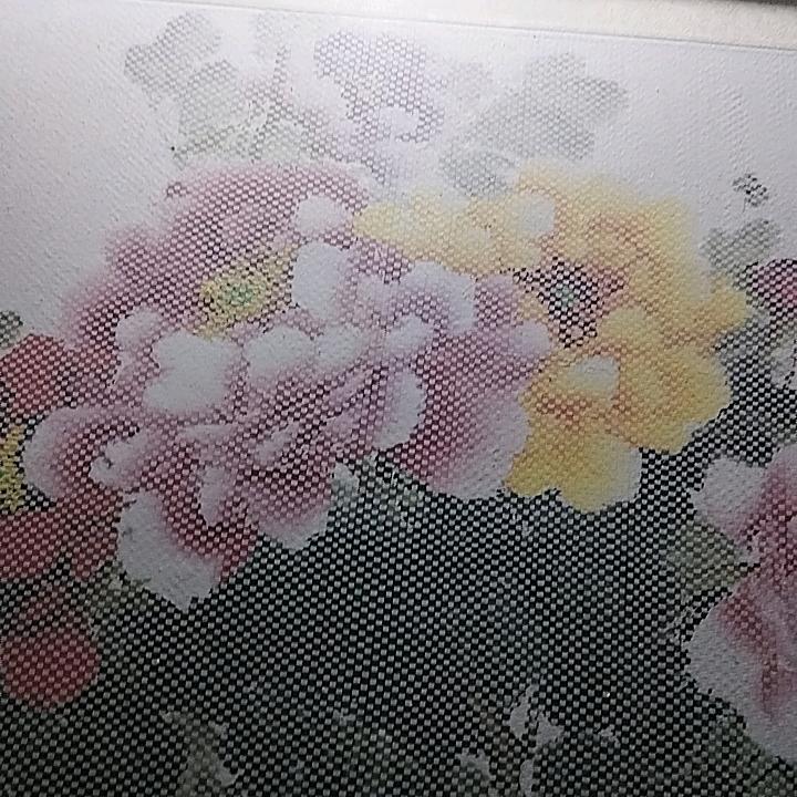 老郭大哥