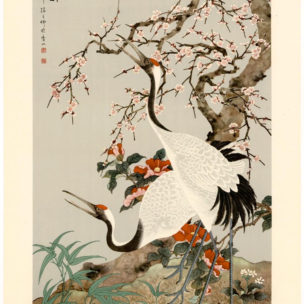 杏林晓小生
