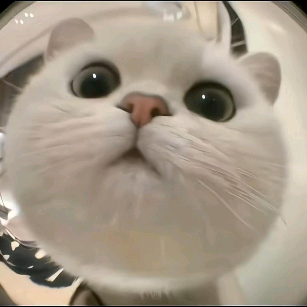 干什莫