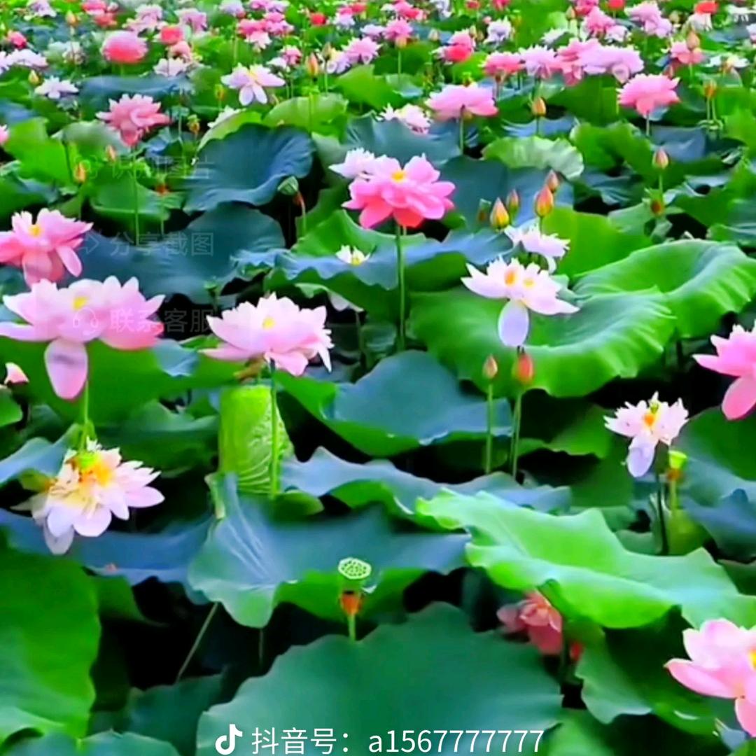 我也好想你