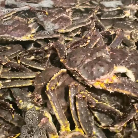 兴隆平价海鲜