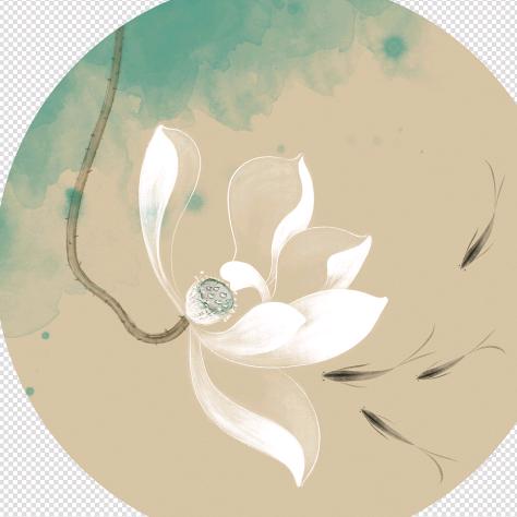 花🌸自向阳开