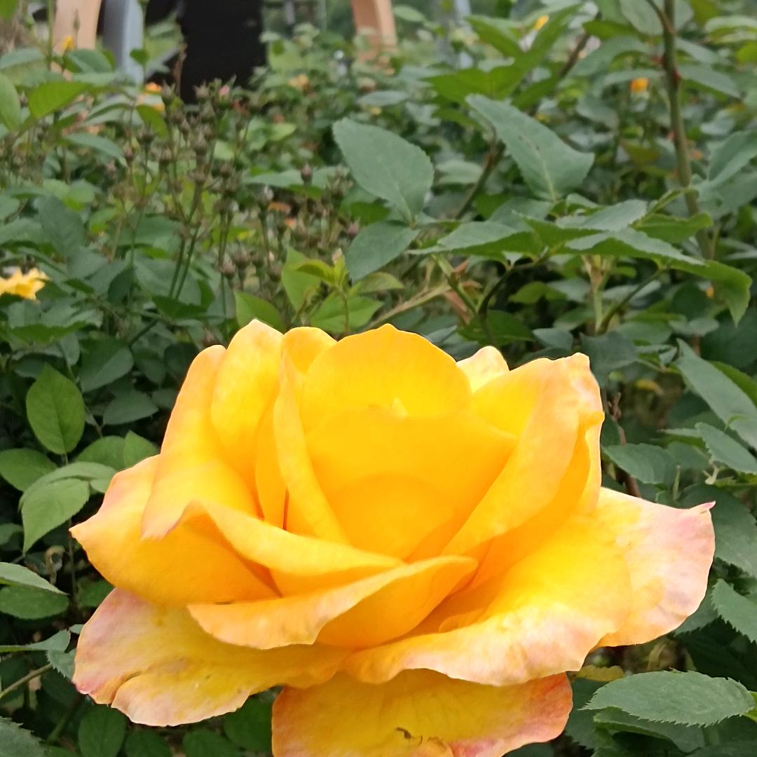 开心＆都不一样