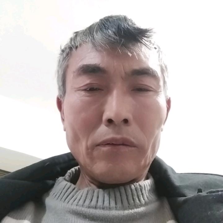 山之虎秦