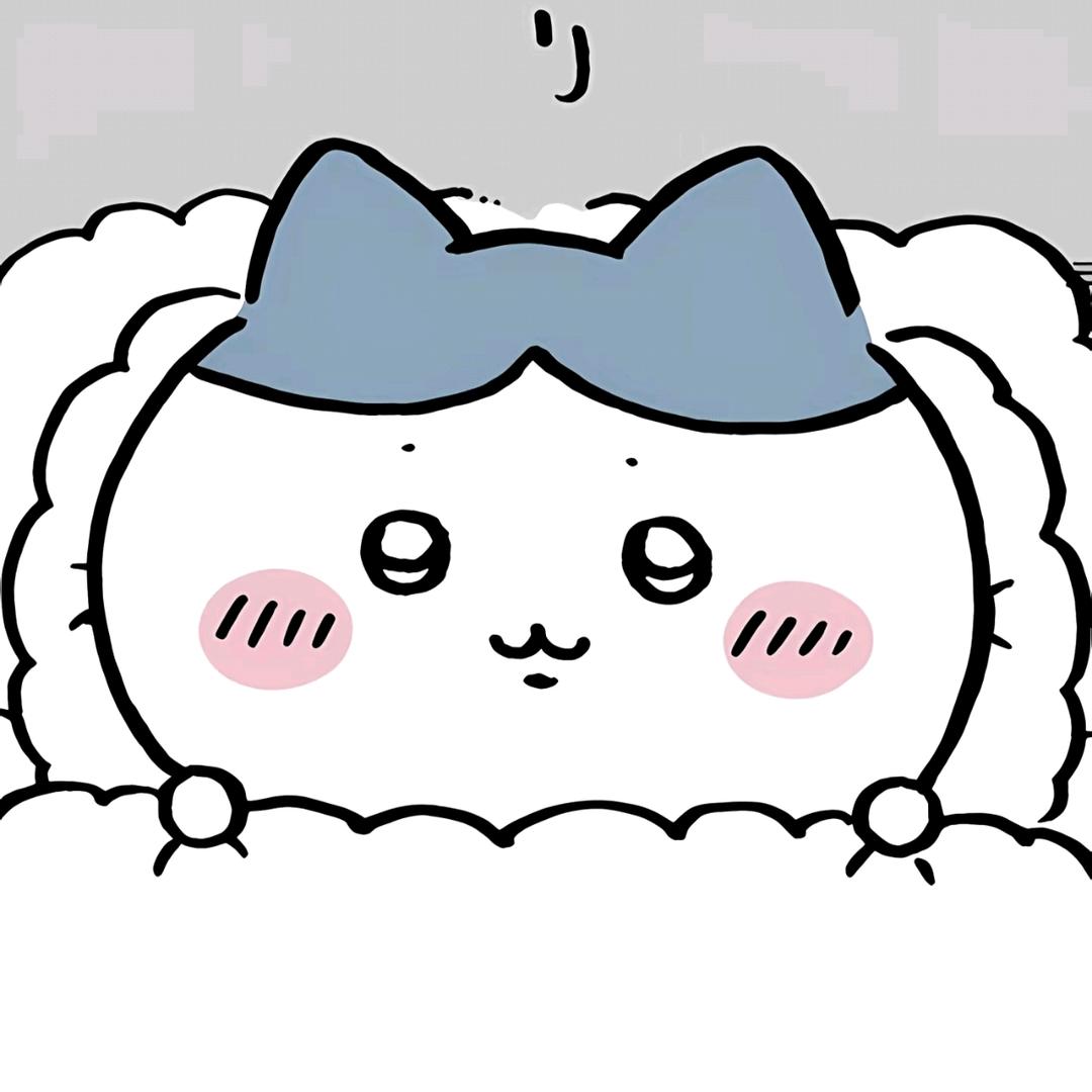 猫猫豆汤圆儿
