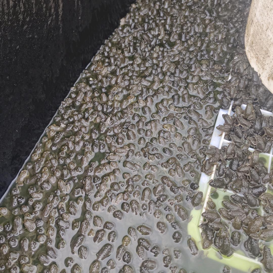 按时吃饭