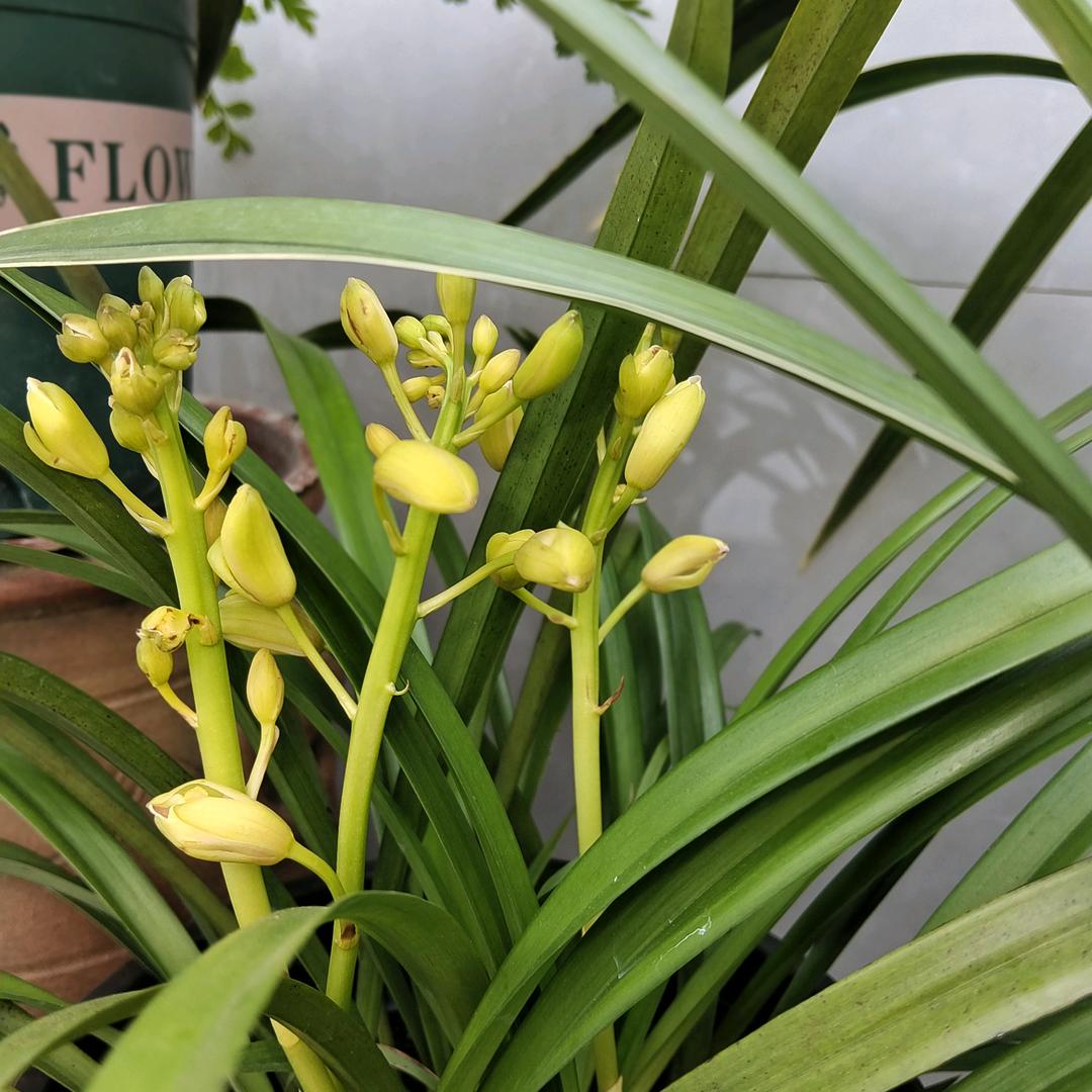 拒绝私聊ℒℴѵℯ一王⃝🍒情深🎐ꦿ࿐