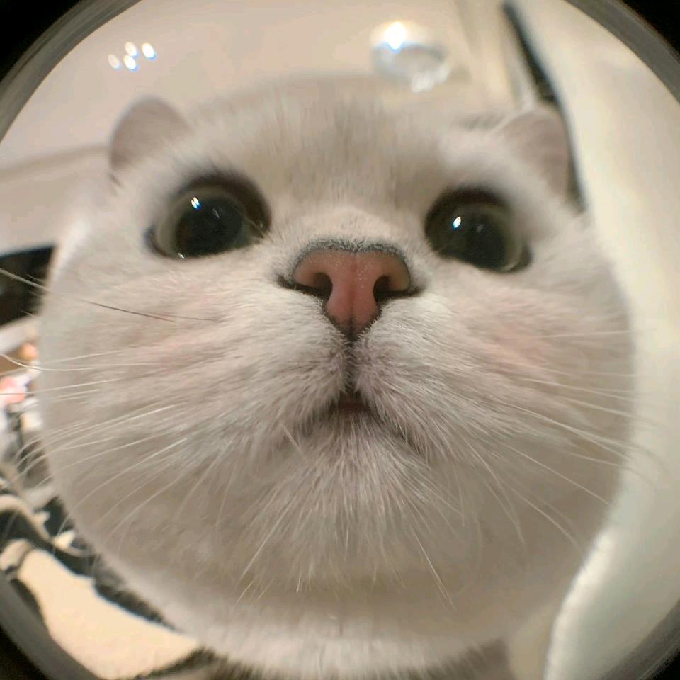 有故事的小土豆