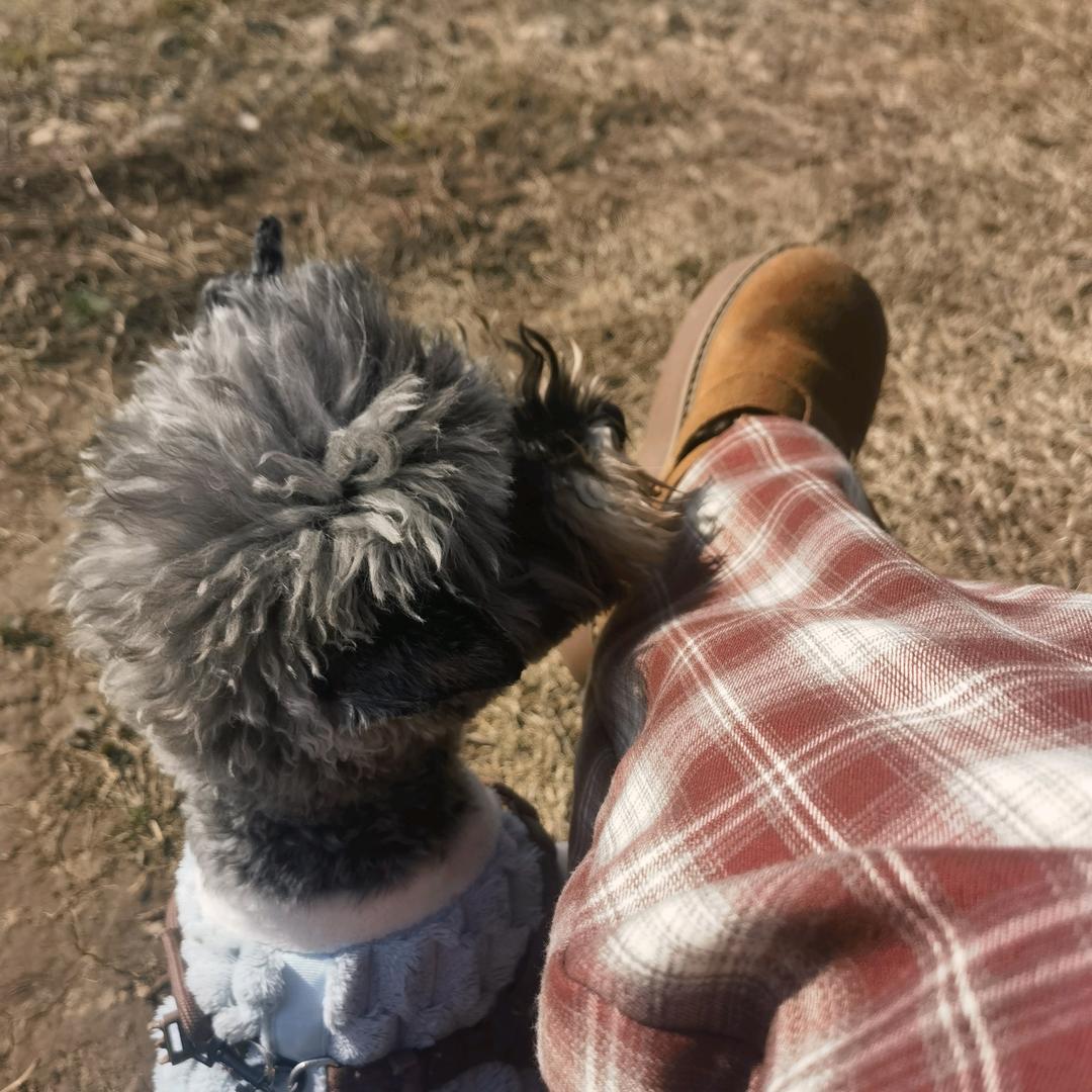 🌴蓝尹¹⁸¹⁸