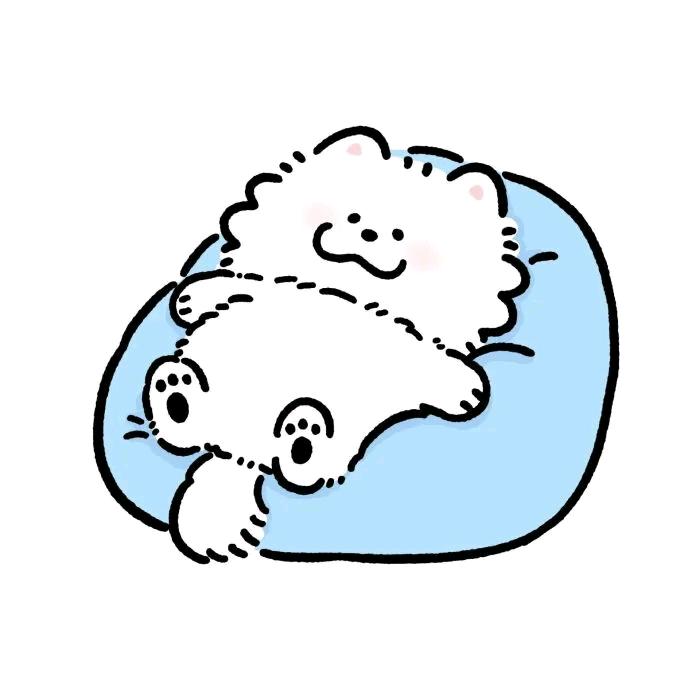 枣点睡觉💤
