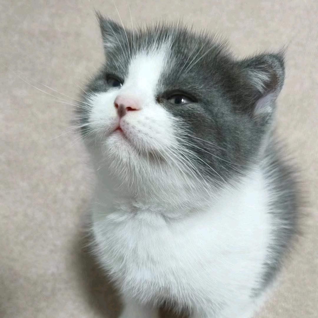 你颠我不跟你颠