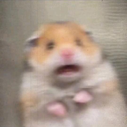 不想失眠