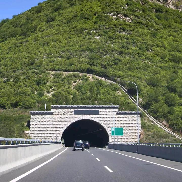 阳新鑫众种养殖蟾蜍农场