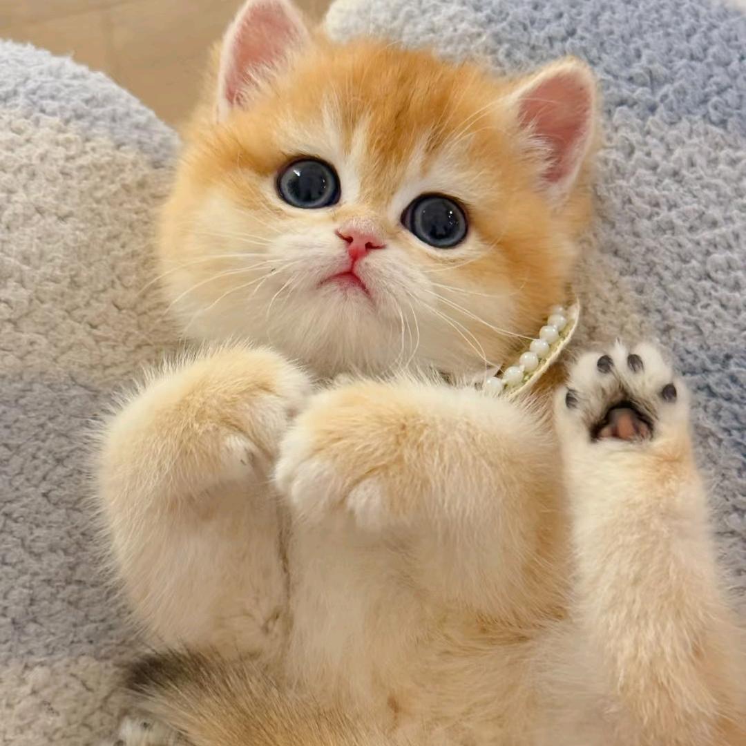 江河创意生活坊