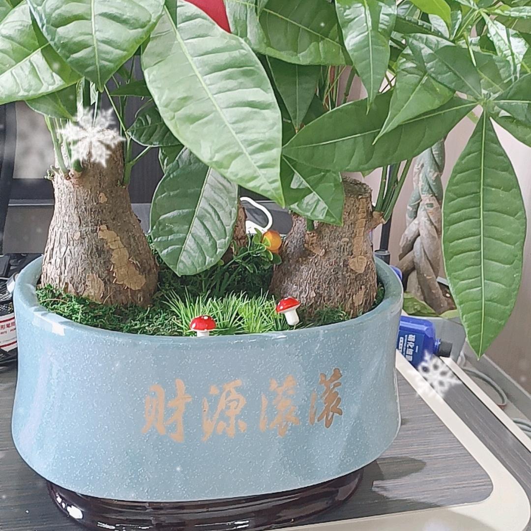 陆遥503