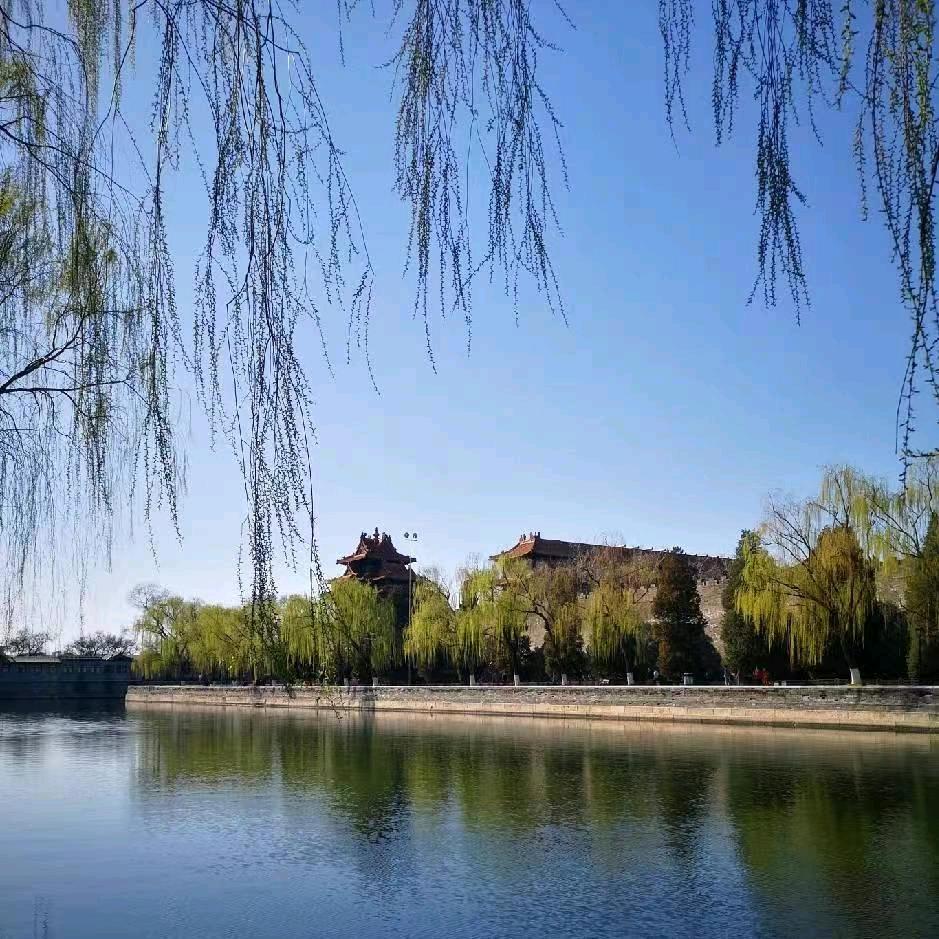 🍓我就是我🍓