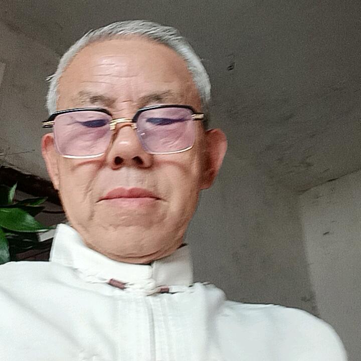 松哥‘1954柳