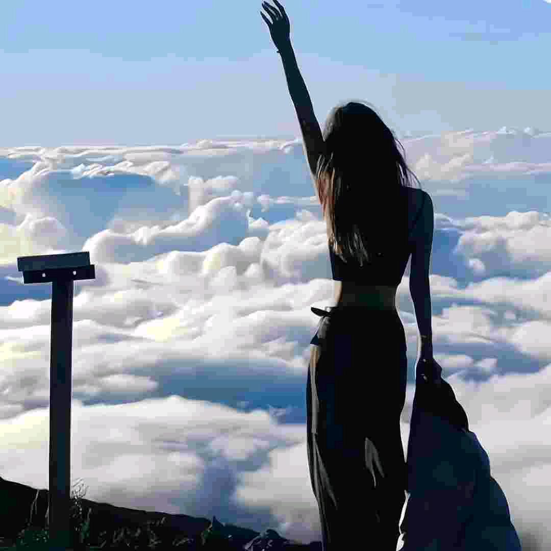 .🐬淡止間。o  O