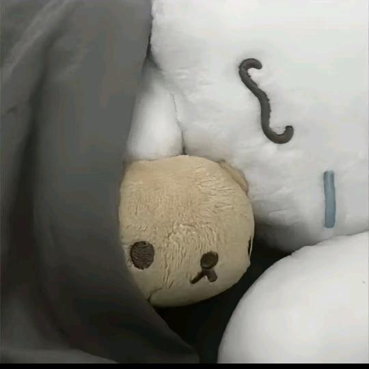 蒋小