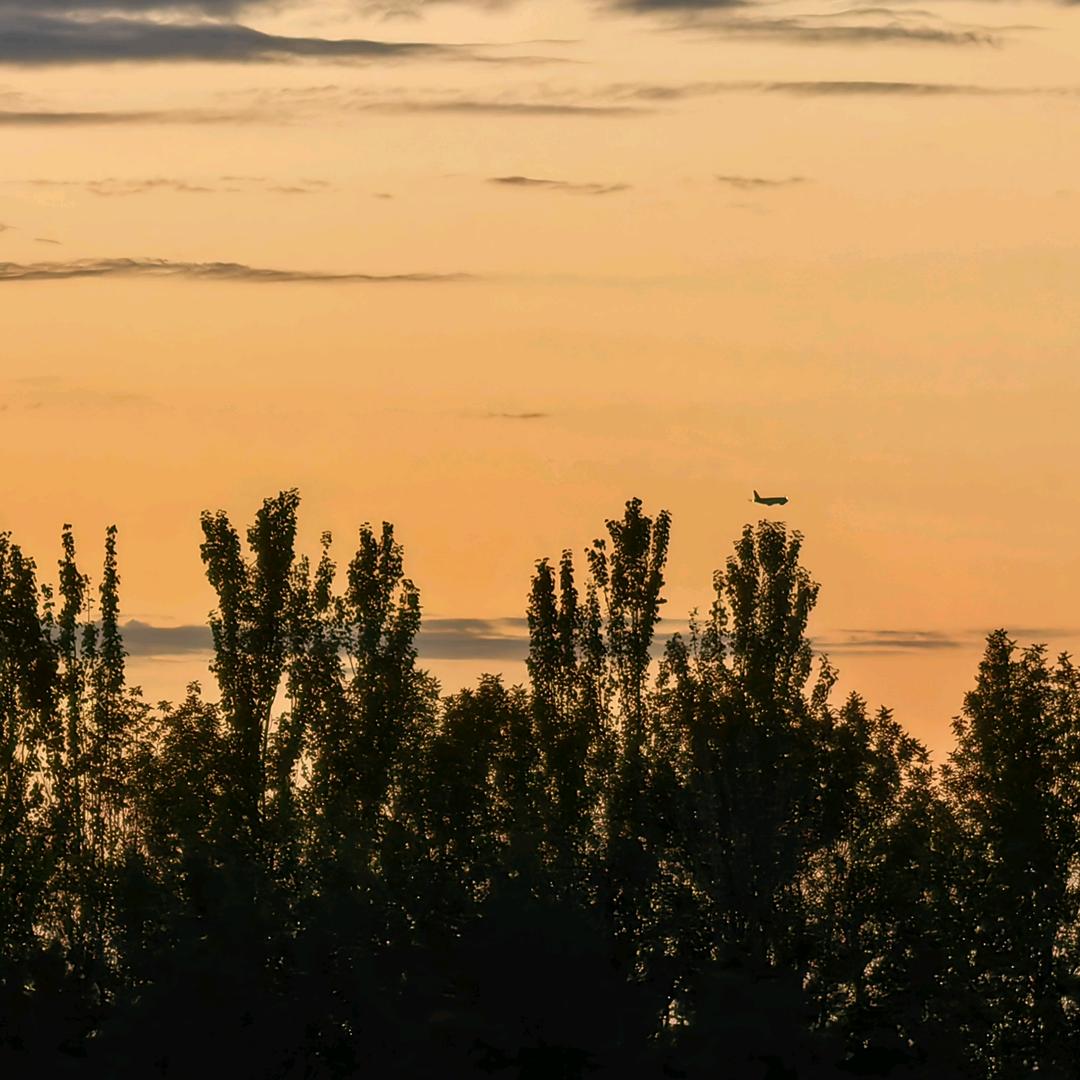 蓝天白云哈哈哈