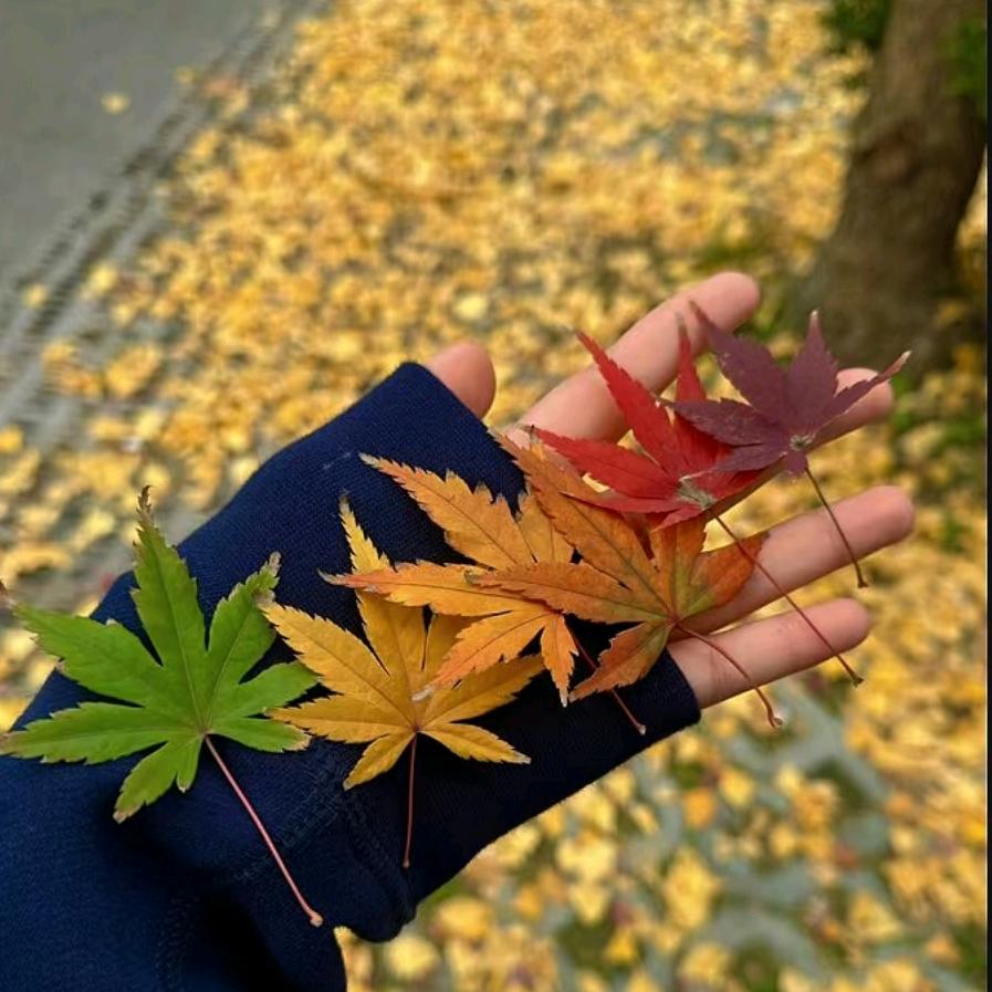 平川粥三粥四（广场）