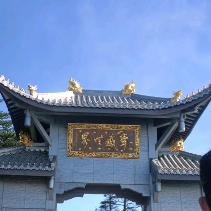 是是是孤孤恋～