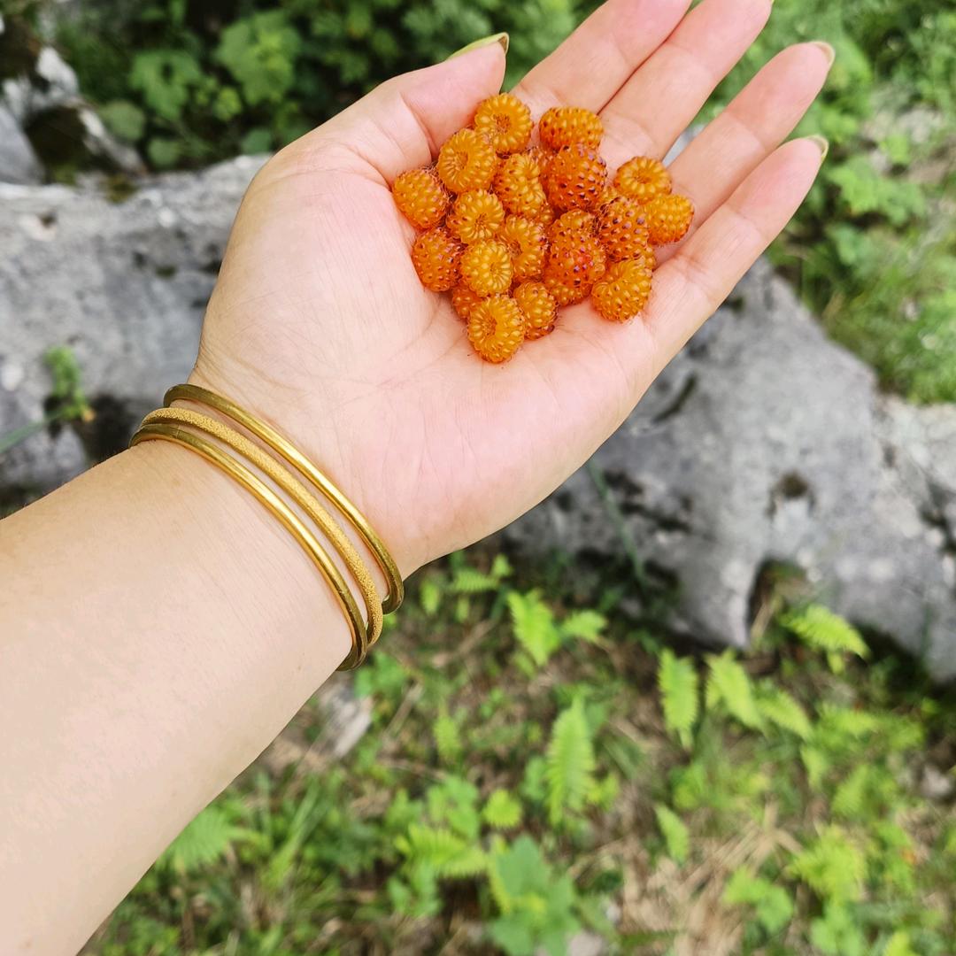 往后余生🍎不念过往🍓不畏将来🍒