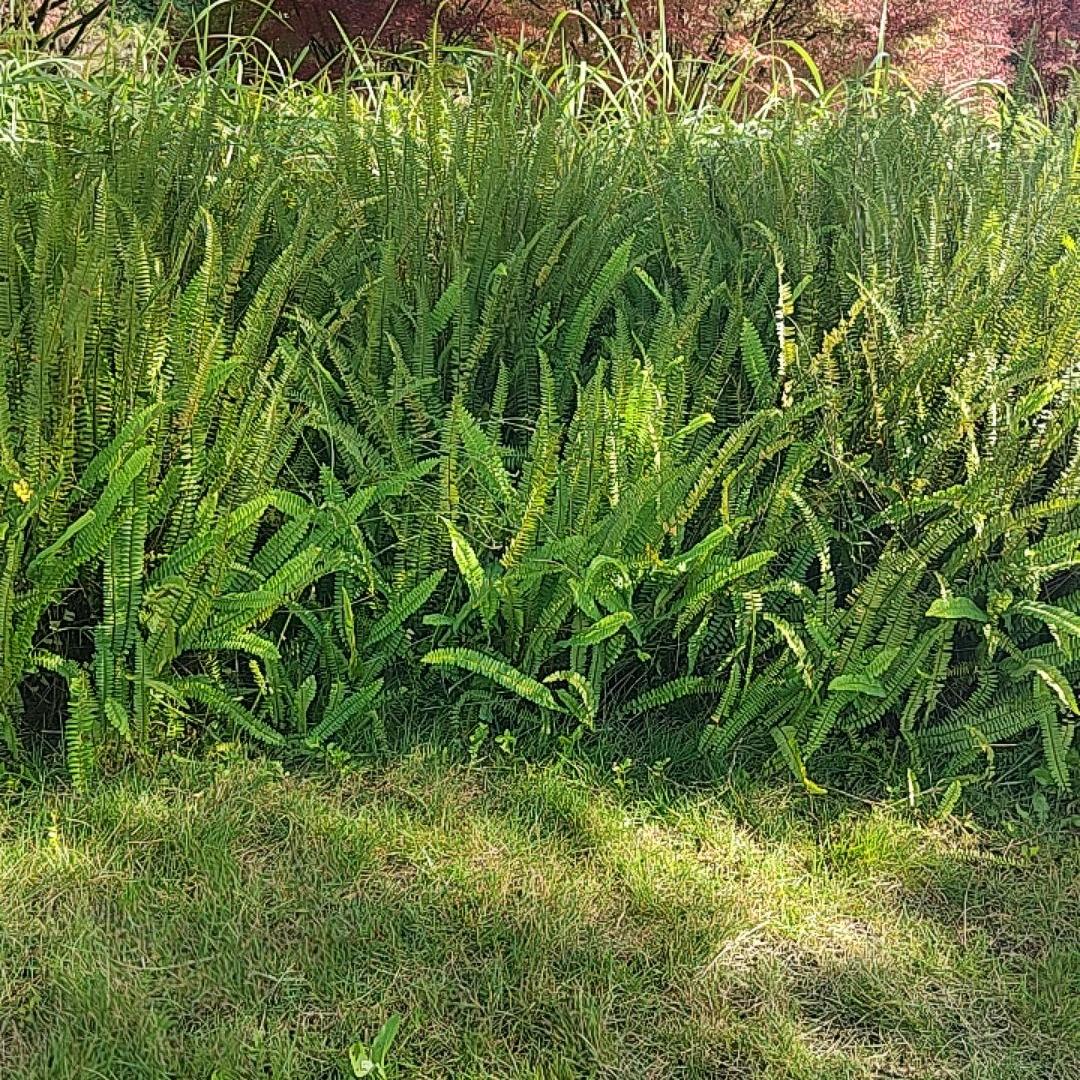 ꧁🌺余生꧔ꦿ爱自己℘᭄ᩚ꯭ᩚ💞