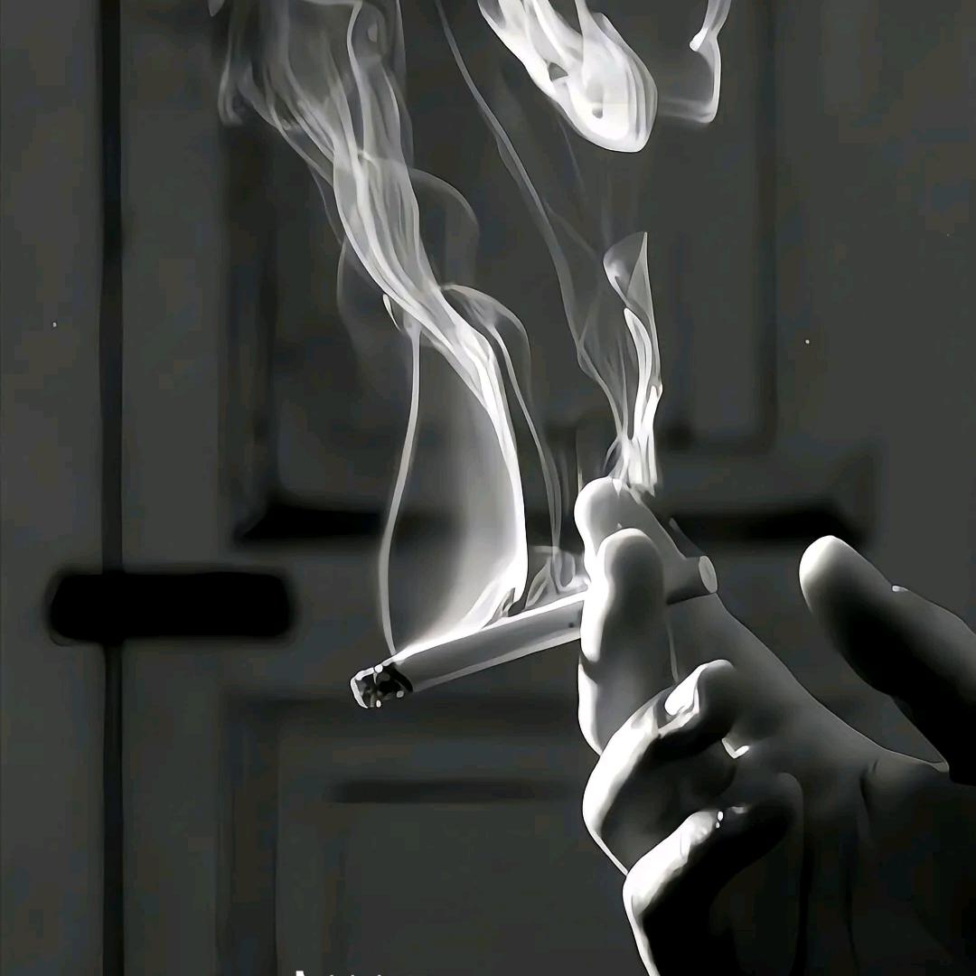 说他在想想