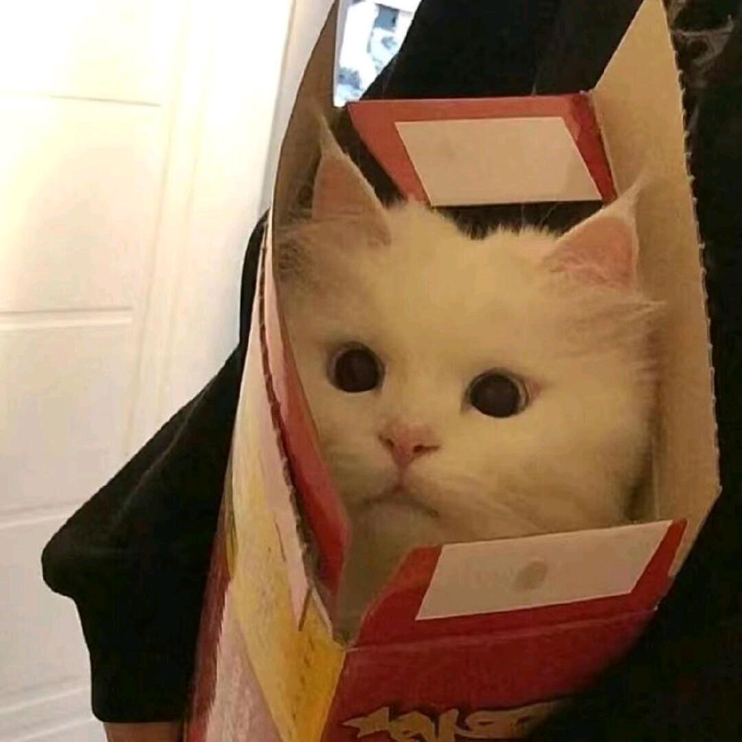 缱绻
