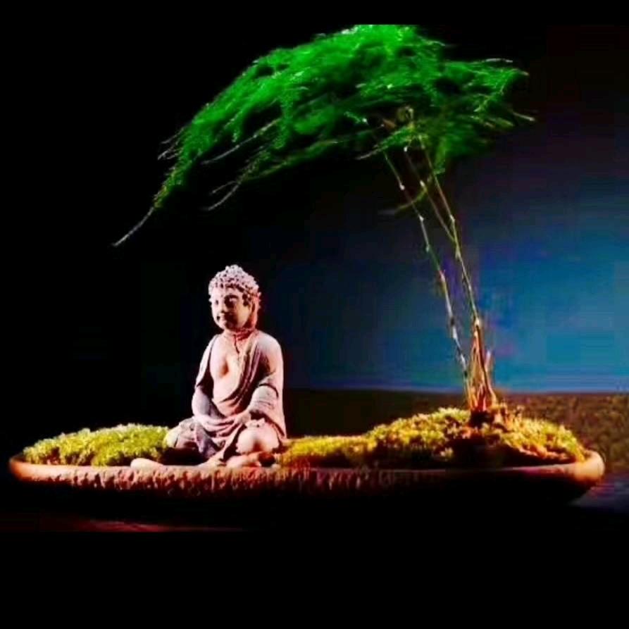 藏传古玩达旺久