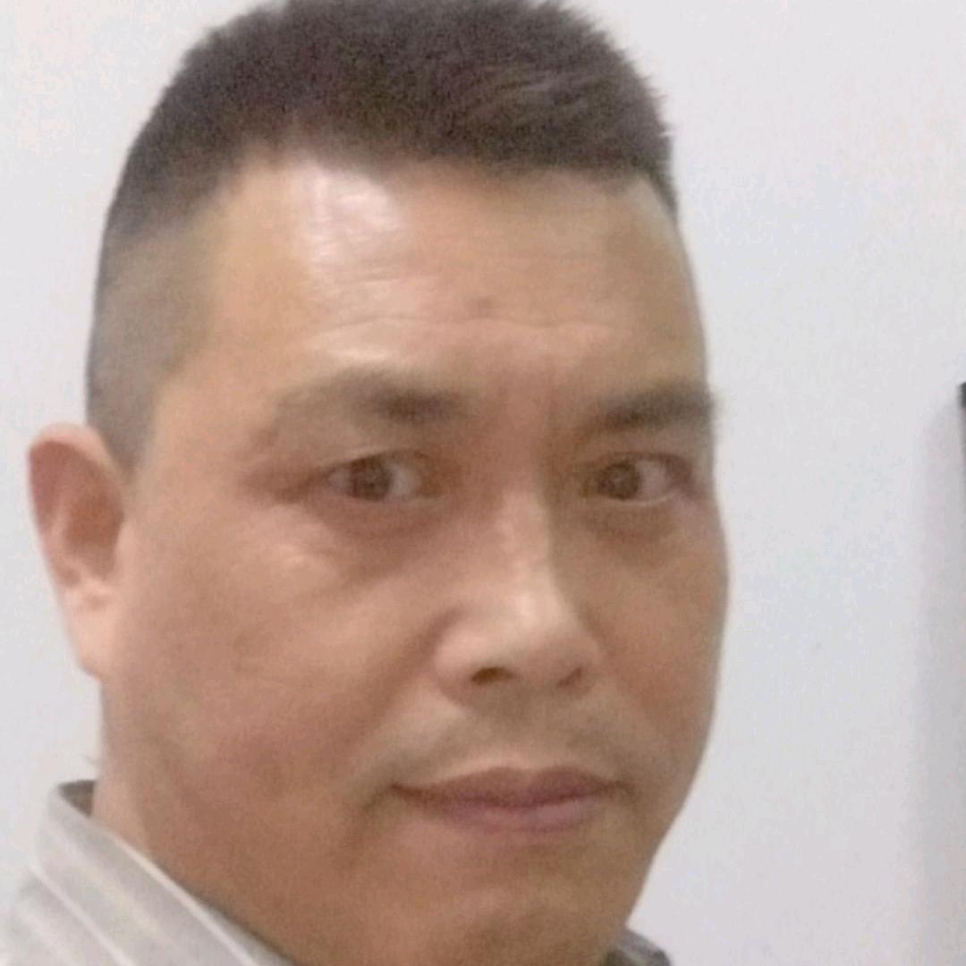 马楼的马，一生为马