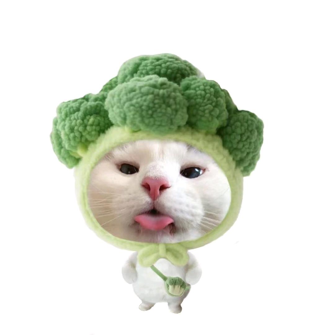 派大星头像