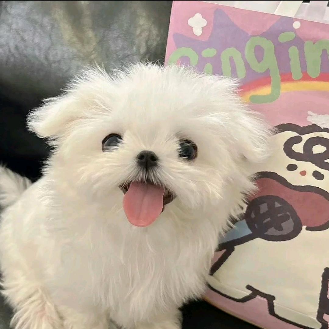 不吃肥肉*～