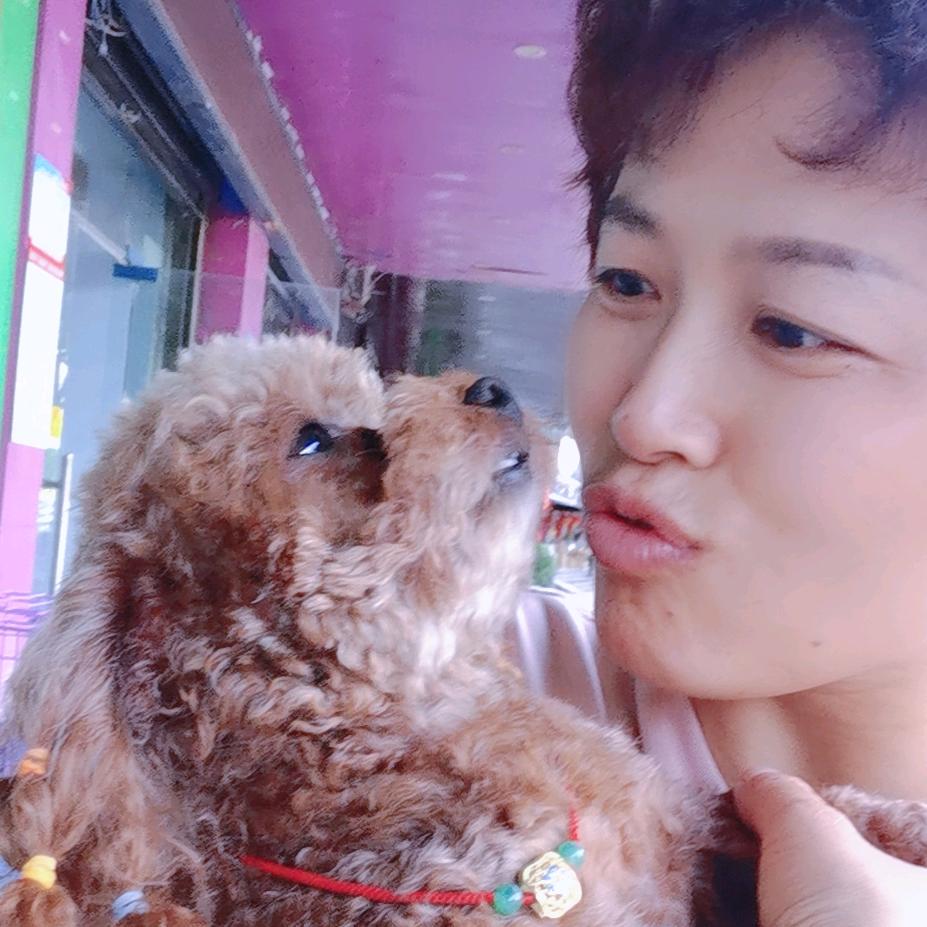 遇见🧸糖宝（燕姐犬舍）